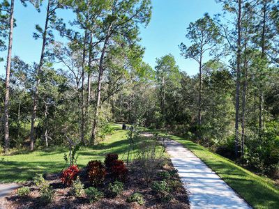 Or, take a stroll along shaded trails in the community.