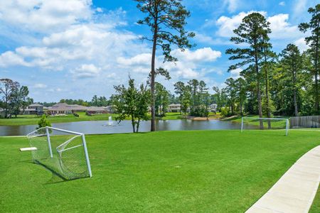 Lakes at Black Oak by Davidson Homes LLC in Magnolia - photo 8 8