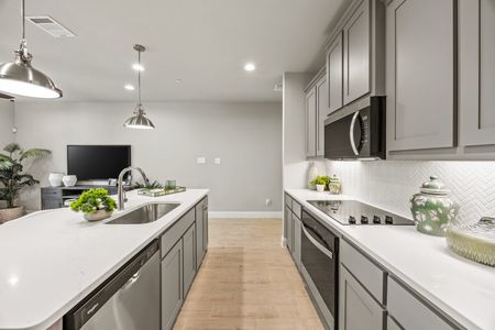 Sereno Oaks by Impression Homes in Dallas - image 11