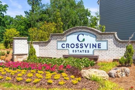 Crossvine Estates by Fischer Homes in Braselton - photo 3 3