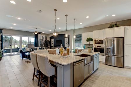 Sandy Creek by SEDA New Homes in Saint Augustine - photo 40 40