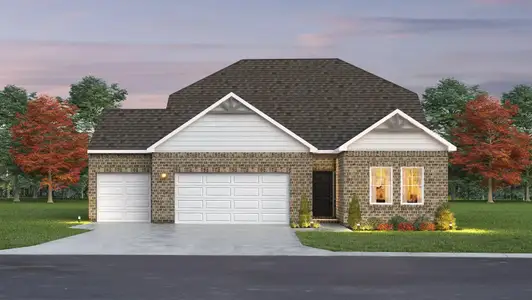 Dorris Farm Single Family - Landon Collection 16