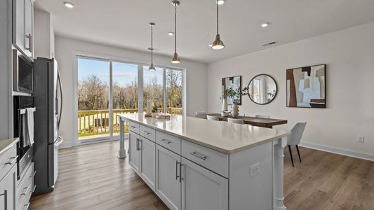 The River District by DRB Homes in Charlotte - photo 6 6