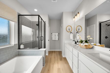 Palmilla Springs 50s Sales Phase 2 26