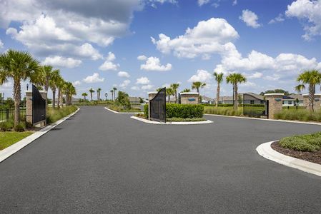 Central Parc by Ryan Homes in North Port - image