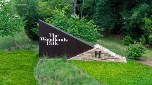 The Woodlands Hills 75' by Perry Homes in Willis - photo 42 42