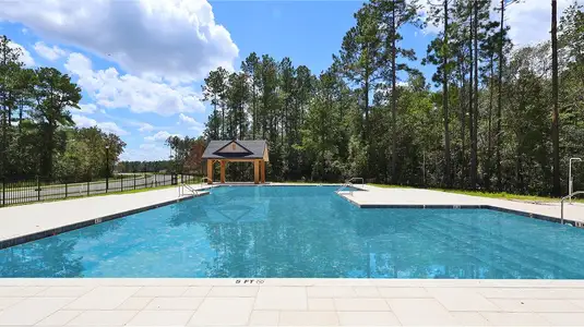 Kings Preserve by Lennar in Jacksonville - image 3