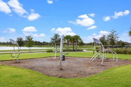 Waterset Garden Series by David Weekley Homes in Apollo Beach - photo 15 15