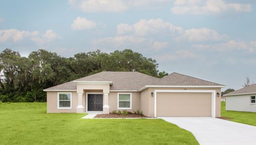 Estates At Sixty by Southern Homes in Bartow - photo