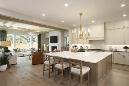 The Estates Collection at Bluff Haven 4