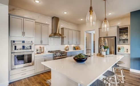 Montaine by Brightland Homes in Castle Rock - photo 4 4