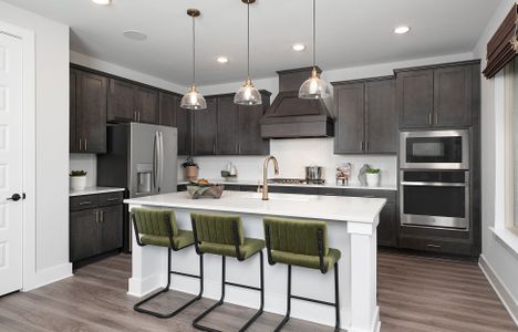 Discovery Collection at Union Park by Tri Pointe Homes in Little Elm - photo 12 12