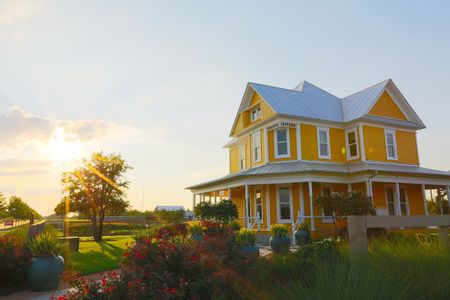 Garden Collection at Harvest by Tri Pointe Homes in Argyle - photo 15 15