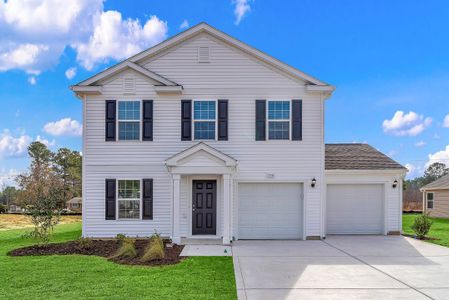 Rivertown Landing by Dream Finders Homes in Conway - image 10