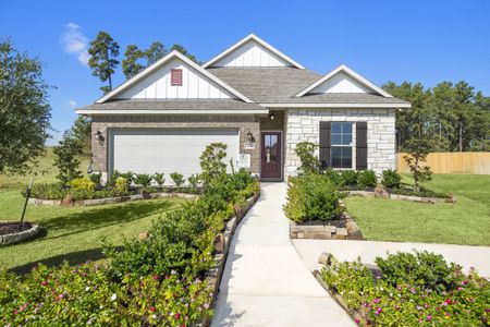 Mostyn Springs by DSLD Homes in Magnolia - image 3