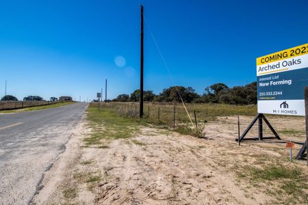 Arched Oaks by M/I Homes in Floresville - photo 27 27