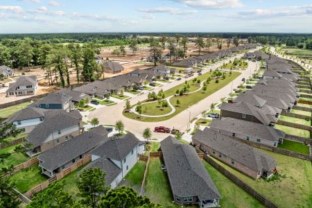 Sorella by M/I Homes in Tomball - photo 0