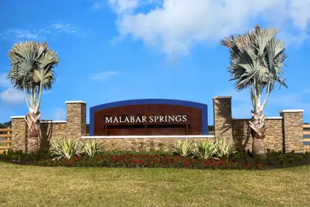 Malabar Springs by Maronda Homes in Palm Bay - image