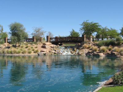 Anthem at Merrill Ranch Reserve Series by Meritage Homes in Florence - photo 0 0