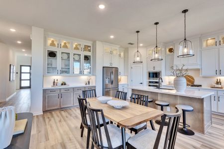 Briarwood by Brightland Homes in Elgin - photo 14 14