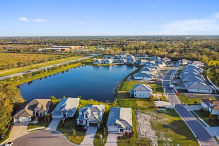 Cypress Glen at River Wilderness by M/I Homes in Parrish - photo