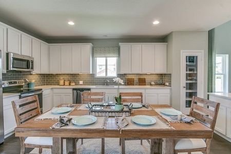 Laurel Vistas by CastleRock Communities in San Antonio - photo 30 30