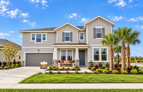 Angeline by Dream Finders Homes in Land O' Lakes - image 4