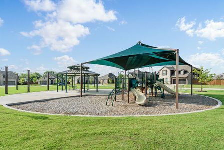 The Oasis at North Grove 60 22