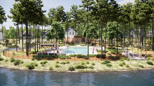 Two Step Farm 50' by David Weekley Homes in Montgomery - image