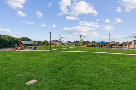 LakePointe by Trophy Signature Homes in Lavon - photo 4 4