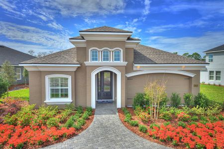 Woodhaven by ICI Homes in Port Orange - photo 0