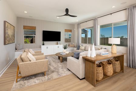 Verdin Discovery Collection 6