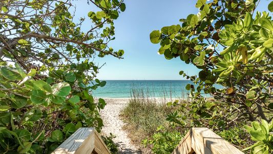 SeaFlower by M/I Homes in Bradenton - image 6