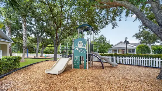 Longleaf: The Havens 7