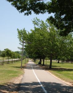 Hitchcock Preserve 60' 23