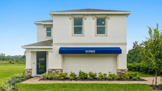 Waterstone by D.R. Horton in Tampa - image