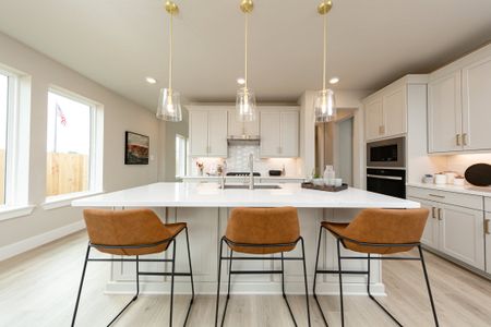 Amira: Heritage 8