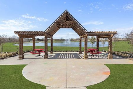 Wellspring Estates by First Texas Homes in Celina - image