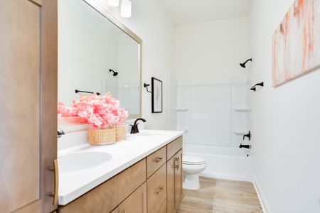 Longleaf by DSLD Homes in Lumberton - image 12