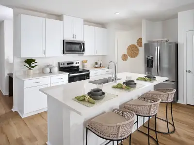 Coasterra - Premier Series by Meritage Homes in Palmetto - image 3