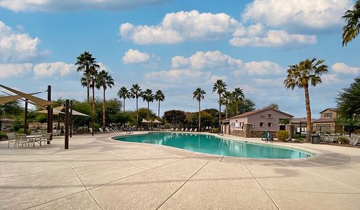 Desert Oasis Pool