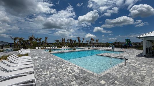 Seagrove: The Indies 24