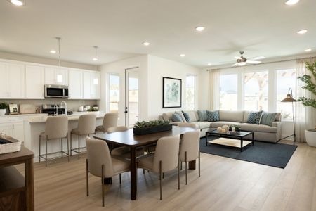 Legacy Collection - Freedom at Anthem 4