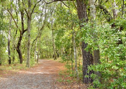 Homesteads at Point Caswell by Stevens Fine Homes in Columbia - image 12