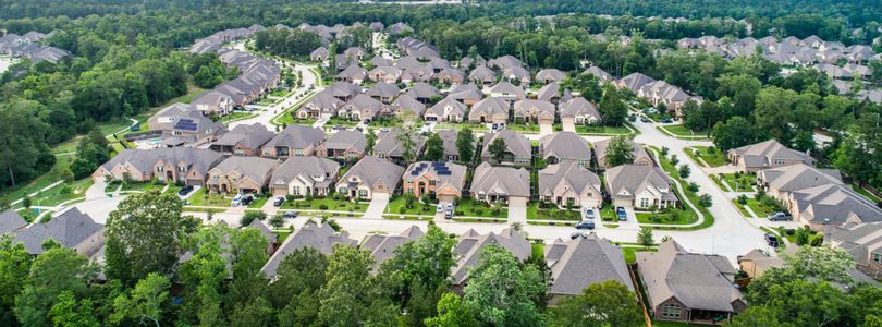 Tavola: Cottage Collection by Lennar in New Caney - image