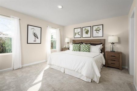 Sadler Trace by Ryan Homes in Jacksonville - photo 11 11