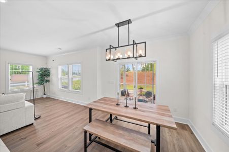 Brownstone Park by Great Southern Homes in Easley - image 17