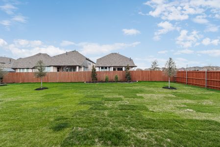 Morningstar by Riverside Homebuilders in Aledo - photo 138 138