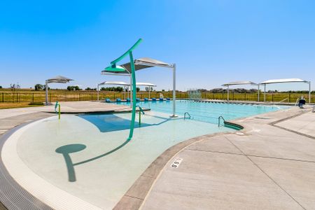 Timnath Ranch Townhomes by Hartford Homes in Timnath - image 13