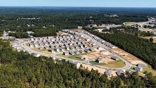 Gates Village by D.R. Horton in Lugoff - image